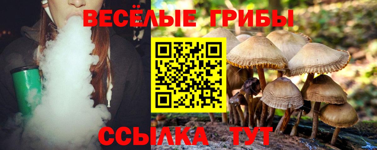 Псилоцибиновые грибы Psilocybe Полевской