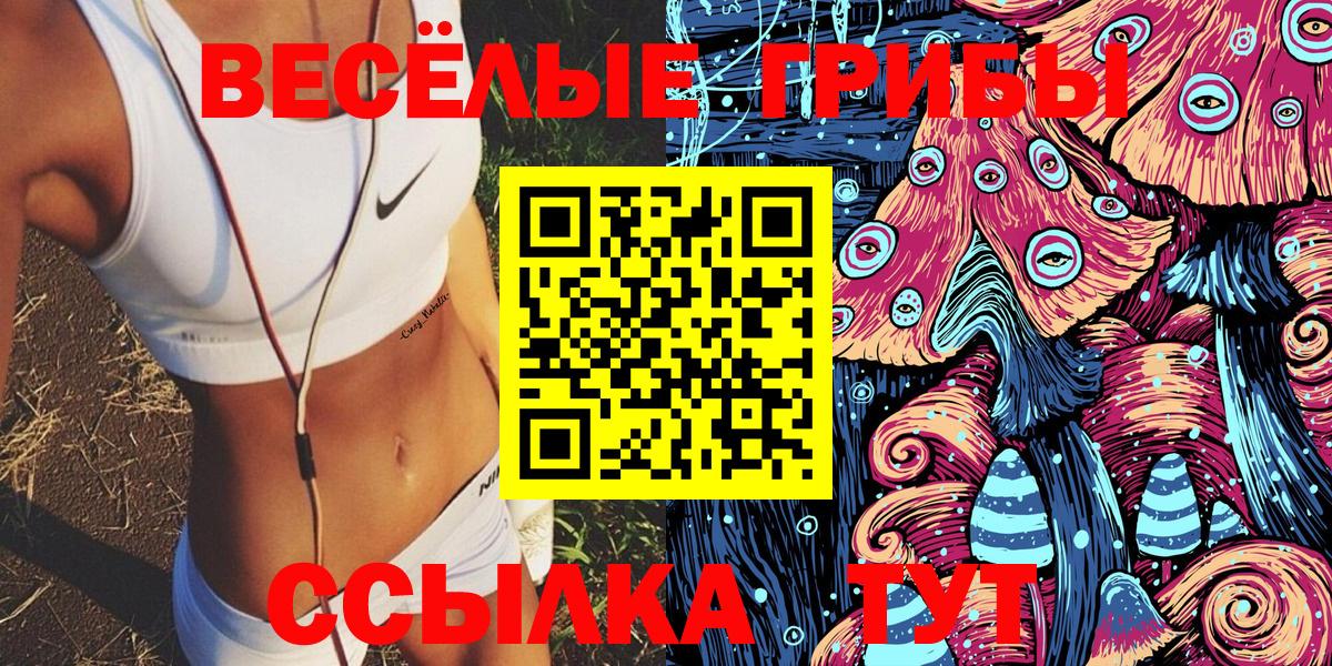 Полевской  дарнет шоп  Вход с VPN  Псилоцибиновые грибы Psilocybe 